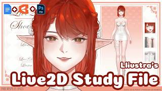 Learn Live2D Rigging | Study File + .cmo3 Model + Guide (PSD Model Included) by Llivstra