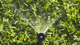 Pop-up &amp; fixed spray sprinklers | Sprinkler types