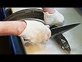 Korean Fish Market - Cutting Giant Sea Eel | Sea Eel Sashimi