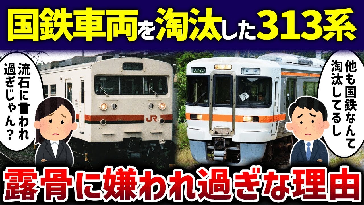 【嫌われ者】JR東海の313系が嫌われ過ぎで利用者「流石に言われ過ぎじゃん？」【ゆっくり解説】