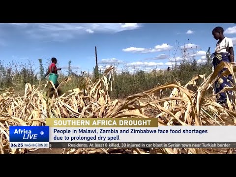 Southern Africa faces food shortages due to drought