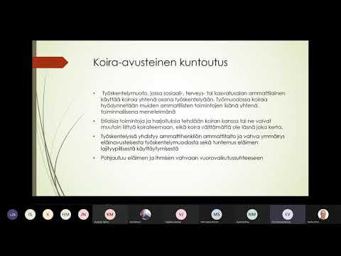 Video: 10 Virhettä, Jotka Oppija-surffaajat Tekevät (ja Kuinka Korjata Ne)
