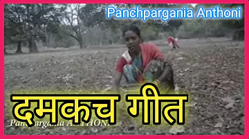 DAMKACH GEET || Anthoni Munda।। दमकच गीत