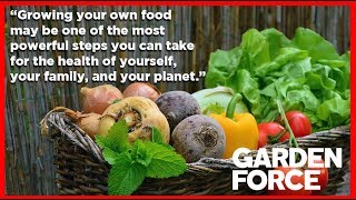 Growing Your Own Food is Like Printing Your Own Money