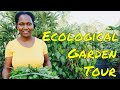 REVOLUTIONARY FARMS #1: Queen of Self-Sufficient Backyard Gardening | Nairobi, Kenya