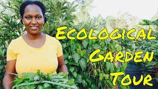 REVOLUTIONARY FARMS #1: Queen of Self-Sufficient Backyard Gardening | Nairobi, Kenya