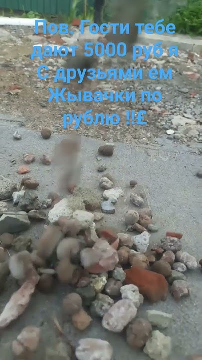 жвачки по рублю - YouTube