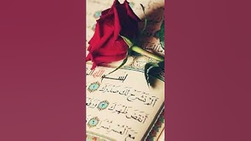 #سورة_البقرة #محمد_الفقيه