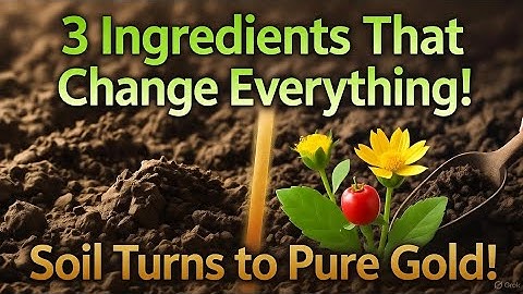 This 3-Ingredient Soil Formula Will Transform Your Garden Overnight | Explosive Growth.