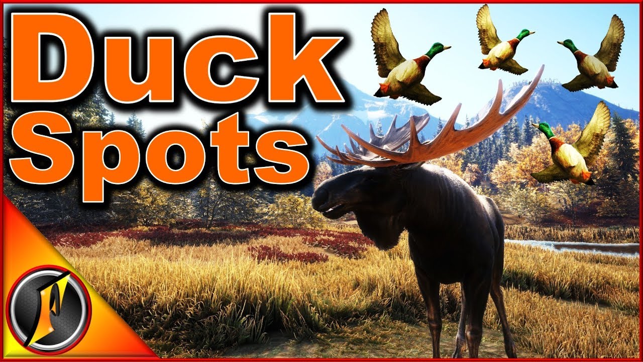 Hunting For Good Duck Locations Thehunter Call Of The Wild Youtube