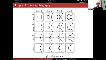 Elliptic Curves for Blockchains and Cryptocurrencies