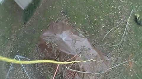 short rappel Cinch Velocity clearing the woodpile
