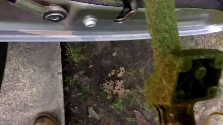 Stihl FS 90 R Review: (Almost) A Year Later