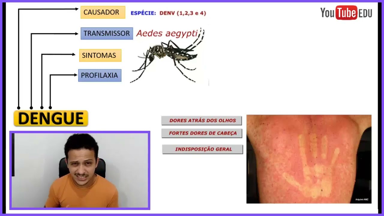 Quem É O Causador Da Dengue?