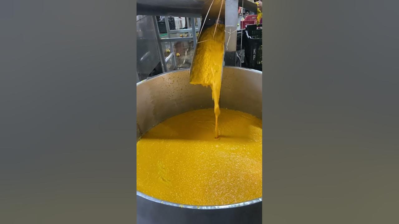 River of Mango Juice India's Biggest Mango Juice Factory Indian