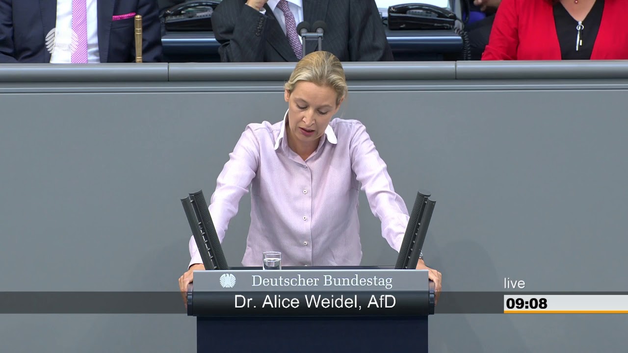 AfD: Dr. Alice Weidel, Haushaltsdebatte, "von Idioten ...