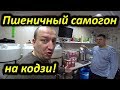 Пшеничный самогон на кодзи