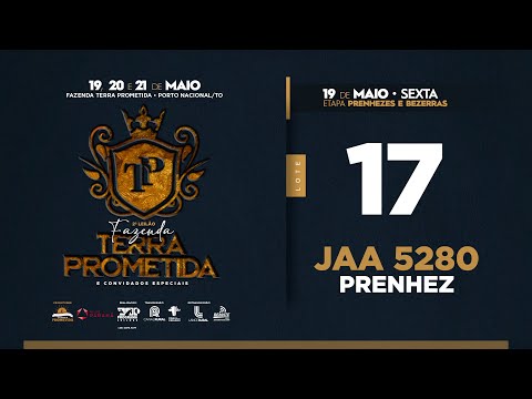 Lote 17   IRIS 8 FIV DA VALONIA   JAA 5280