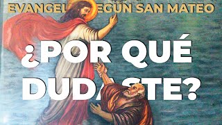 IX. PEDRO Y JESÚS | Evangelio según S. Mateo