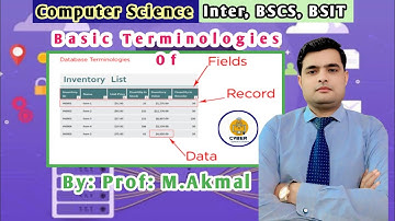 What are the BASIC Database Terminologies? Computer Science Inter, BSCS, BSIT 