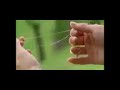 مسلسل اوتار القلوب الحلقة 9