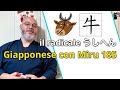Miru - Lezione di giapponese 185 (牛、牧、特)
