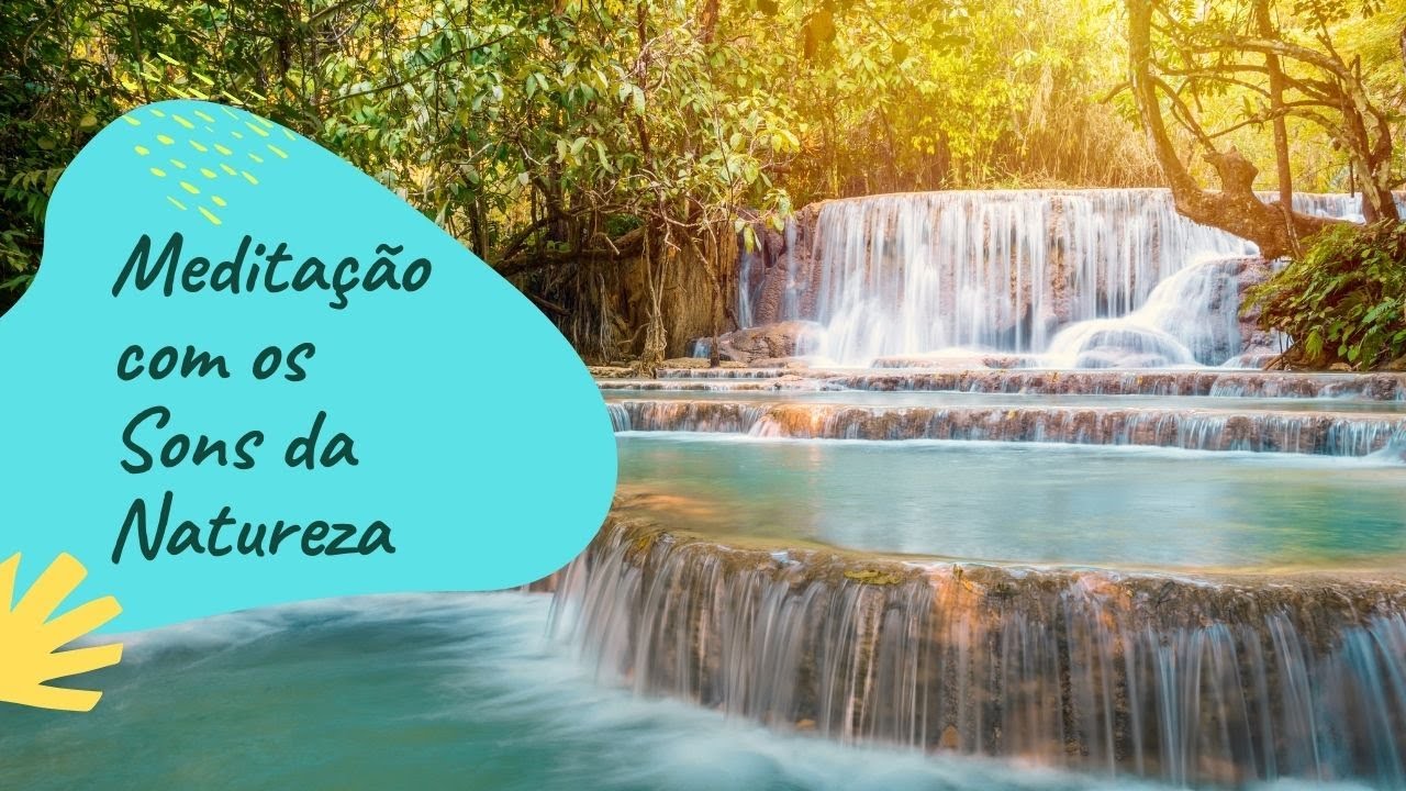 Música Para Meditar E Relaxar Com O Som Da Natureza Meditação Youtube