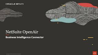 NetSuite OpenAir Business Intelligence Connector