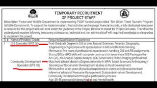 Ten Billion Tree Tsunami Programme Balochistan Jobs
