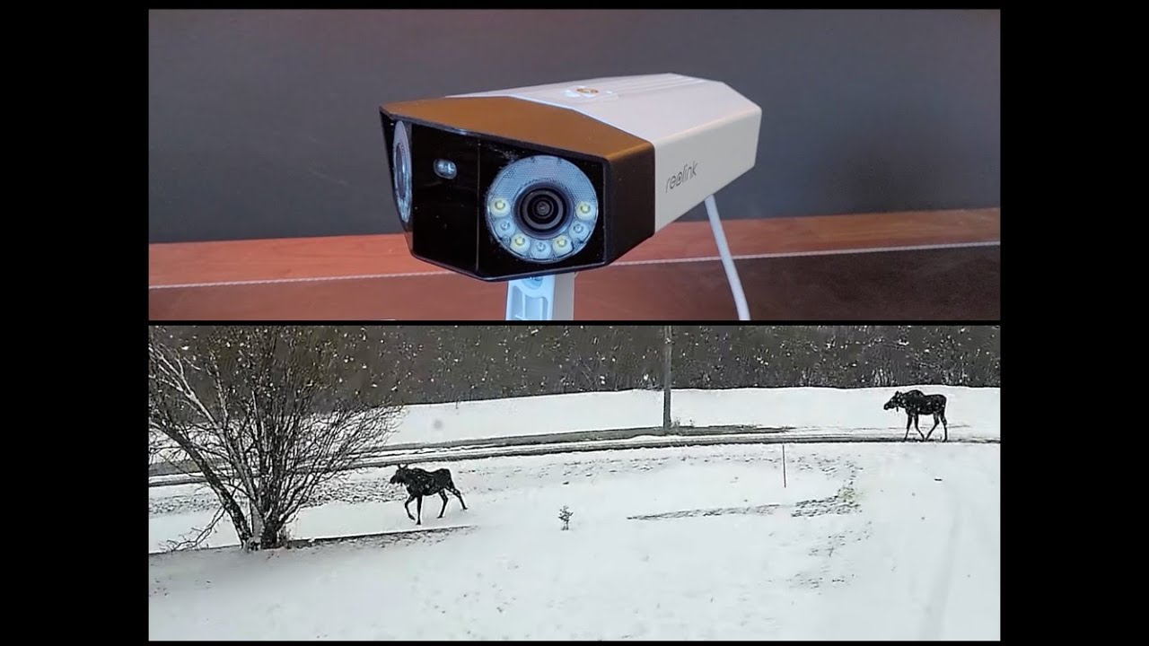 ELCHE im gefilmt mit der REOLINK DUO 3 PoE !!! UHiK 378