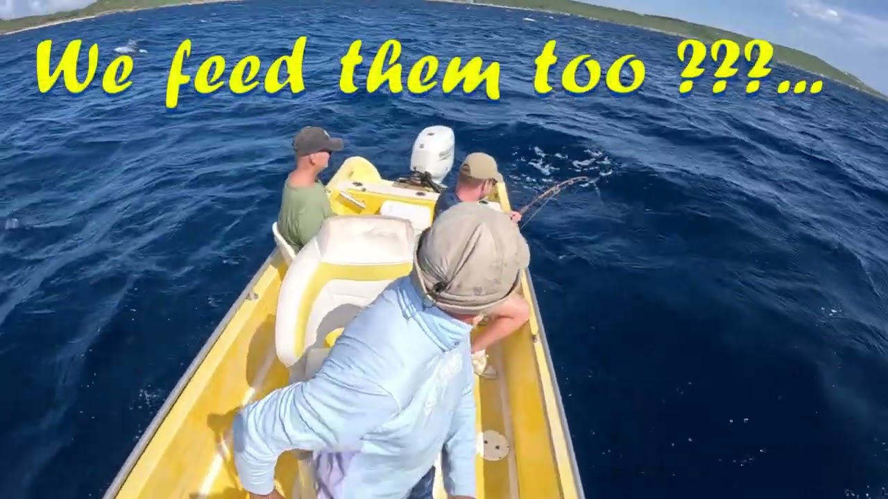 🎣☀️ Catch a Shark, Make a Memory🦈Deckie Dirk Best Private Fishing Charter Curacao