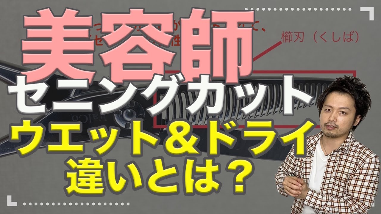 セニング 3つの基本 意外と知らない美容師が多い事実 あなたは知っている Hairdresser M I