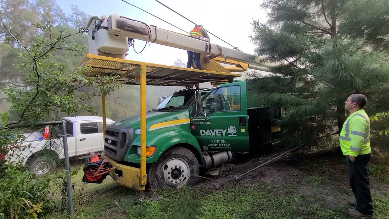 Davey tree service takes out our front fence youtube