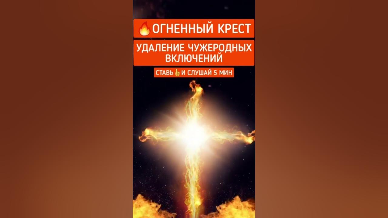 Огненный крест цветок. Огненный крест. Огненный крест фото. Огненный крест от негатива. Огненный крест экзорцизм.