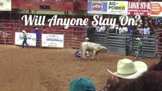 Athens Black Rodeo: Bull Riding