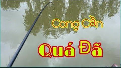 Câu Cá Trong Vuông Tôm | Trúng Ngay Bầy Cá Chốt Giật Liên Tục Quá Đã | Vũ Vlog 69
