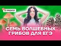 Семь волшебных грибов для ЕГЭ | Биология ЕГЭ 2022 | Умскул