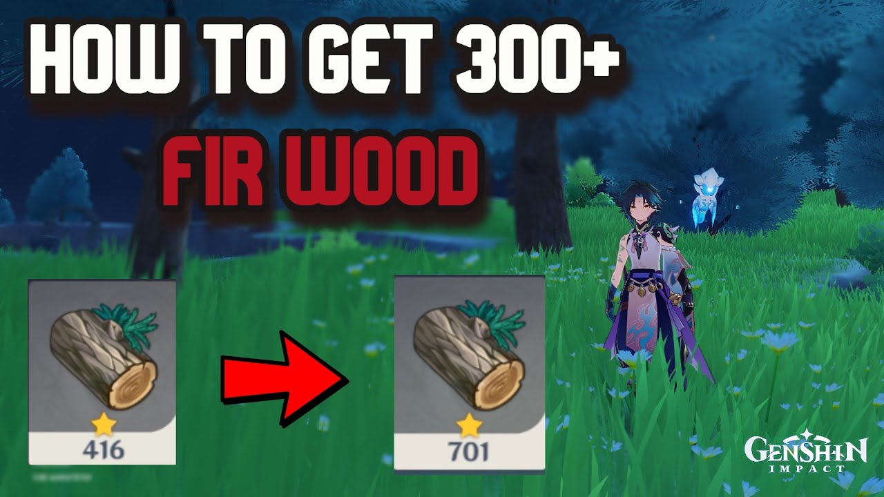 HOW TO GET 300+ FIR WOOD USING THIS ROUTE Genshin Impact YouTube