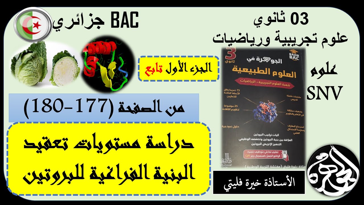 تابع للجزء الأول من دراسة مستويات البنية الفراغية