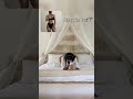 @app.yogaway calming yoga routine for smooth flexibility 🌸✨ #YogaFlex #HealthyUSA