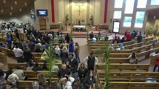 Santa Misa - Domingo de Ramos “De la pasión del Señor” - 29 de marzo de 2026