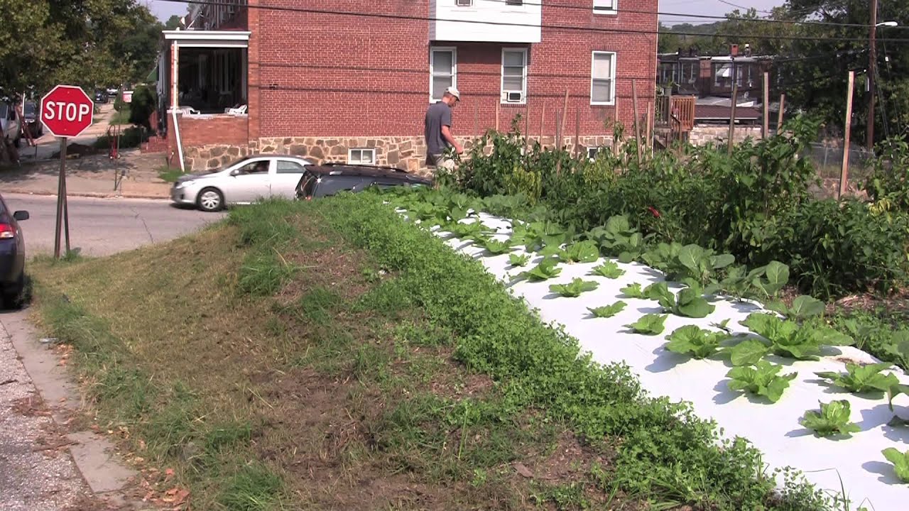 Urban Agriculture Growing In Baltimore Youtube