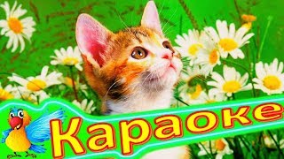 Ромашковая КОШКА! Детская ПЕСЕНКА Про КОШКУ. КАРАОКЕ Ромашковая КОШКА! Детская ПЕСЕНКА Про КОШКУ. КАРАОКЕ