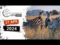 Sights and Sounds of Africam - 27 April 2024