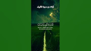 سورة الانبياء | ياسر الدوسري#quran #قرآن #islamicstatus #islamicvideo #islam #islamic #اكسبلور #لايك