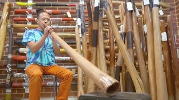 Jesse lethbridge didgeridoo  key of C#   (web code)5051