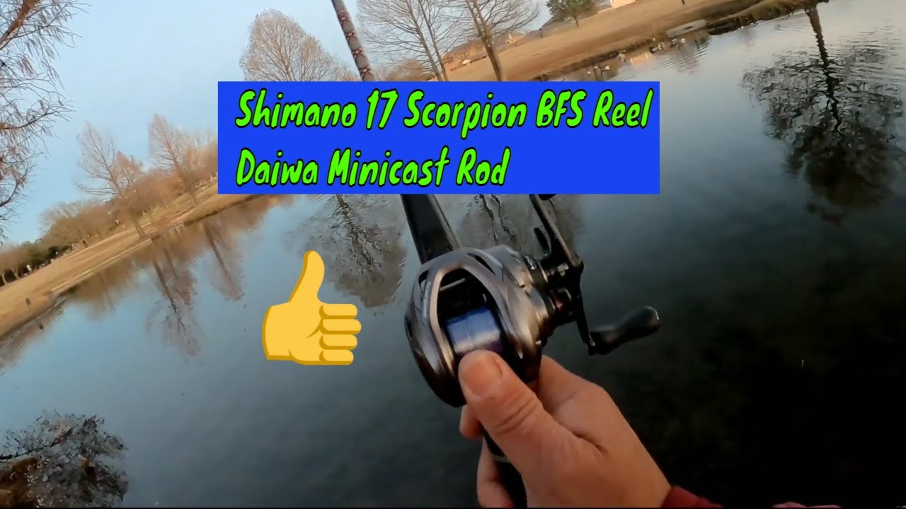 Shimano 17 Scorpion BFS Reel, Daiwa Minicast Rod