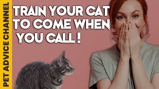 Tips on how to train a cat to respond to its name by Pet Advice Channel 96 views 1 year ago 5 minutes, 14 seconds