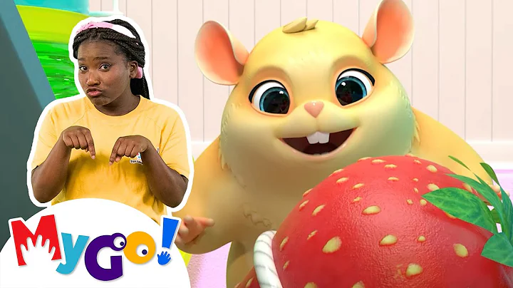 Lost Hamster + MORE! | MyGo! Sign Language For Kids | CoComelon - Nursery Rhymes | ASL