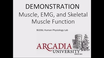 BI206L Muscle and EMG Laboratory Demonstration with PowerLab and LabChart.